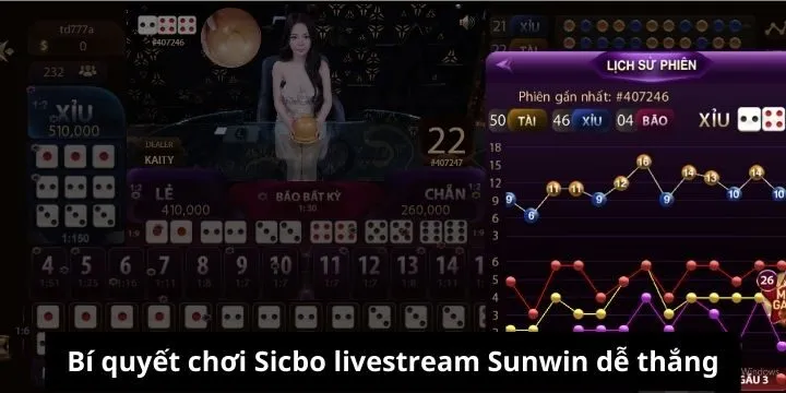 Hướng dẫn quy tắc chơi sicbo livestream Sunwin chuẩn